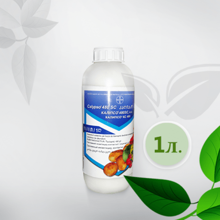 Thành phần và hướng dẫn sử dụng thuốc diệt nấm Calypso, liều lượng và các chất tương tự