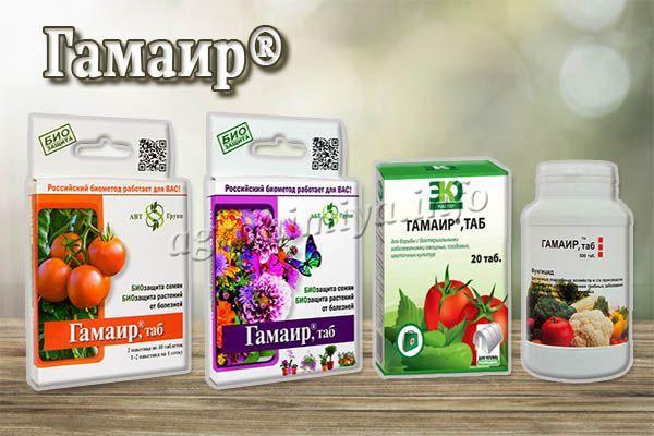 gamair diệt nấm