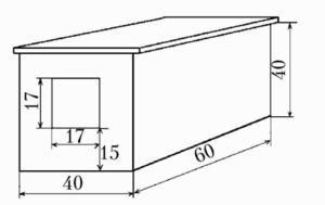 Dimensions et dessins d'une cellule reine pour lapins et comment le faire vous-même