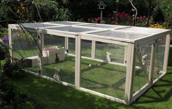 Do-it-yourself-Bau einer Voliere für Kaninchen und Zucht zu Hause