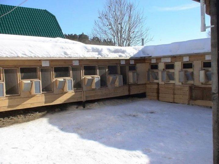 Do-it-yourself-Bau einer Voliere für Kaninchen und Zucht zu Hause