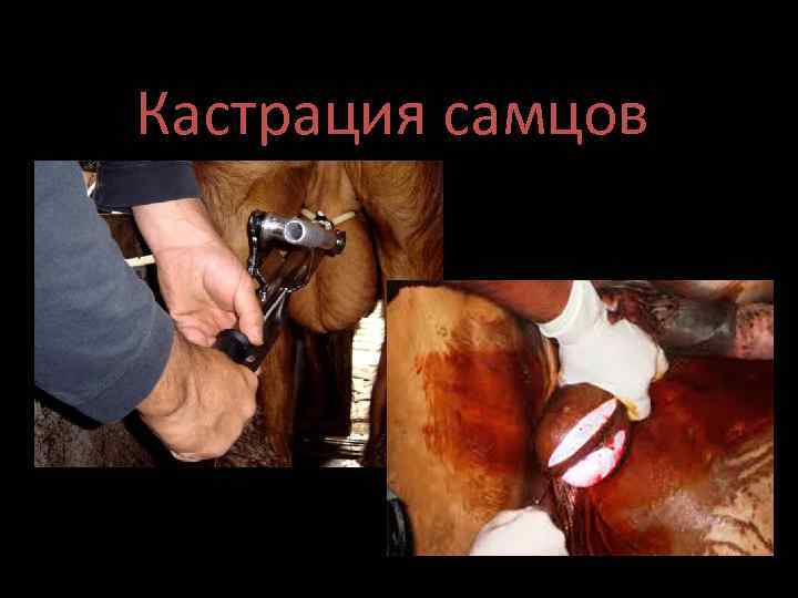 Методи за фиксиране