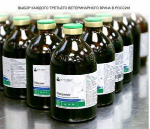 Δοσολογία και οδηγίες χρήσης του Ivermek για πρόβατα, όταν πρέπει να τρυπήσετε
