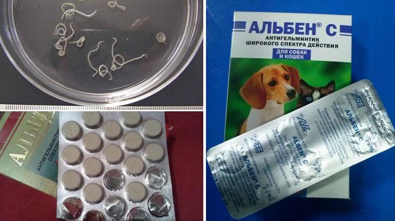 Návod k použití a složení přípravku Albena pro skot, dávkování a analogy