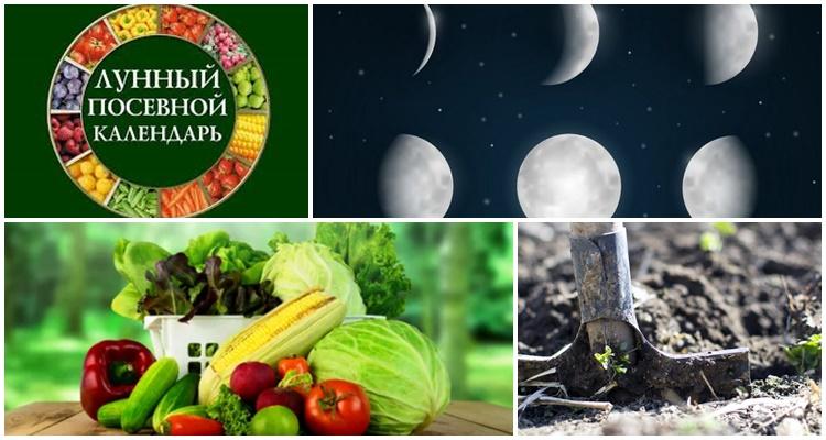 календар за лунна сеитба за 2021 година