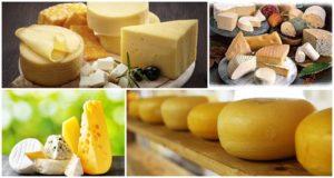 Top 4 Arten und Namen von Schafskäse, Nutzen und Schaden für den Körper