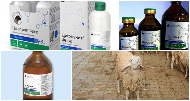 các loại thuốc khác nhau