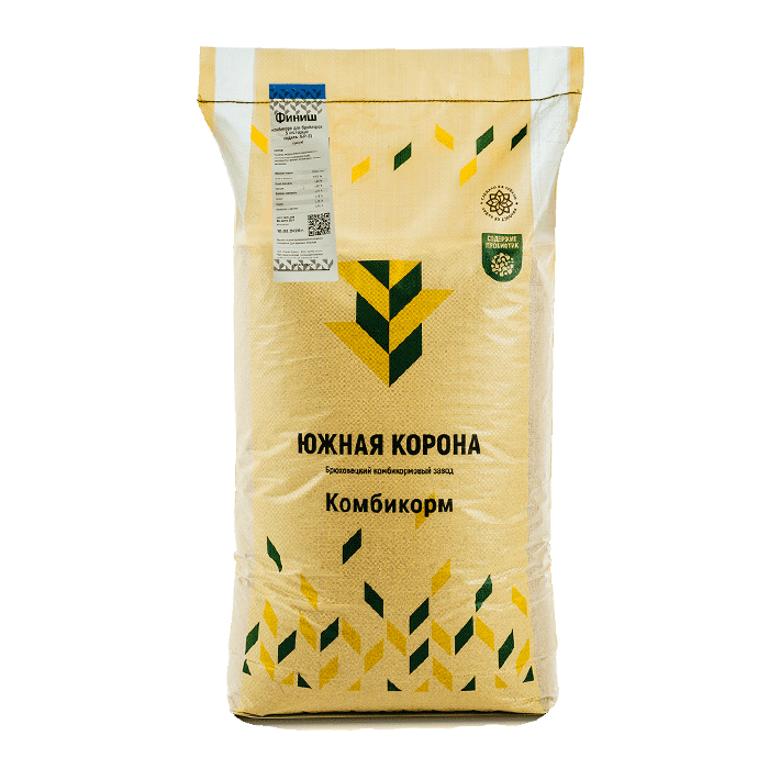 Korona południowa