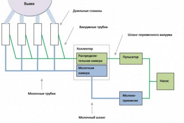 enhedsdiagram