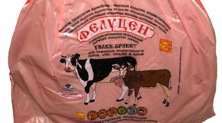 felucene for cows