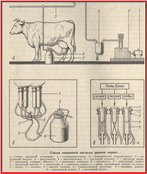 malkemaskine