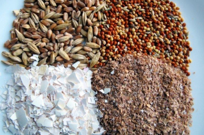different compound feed