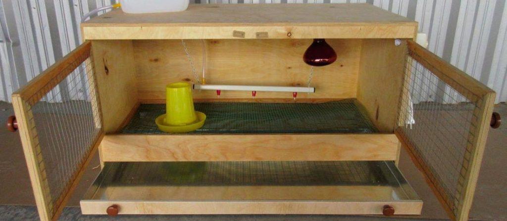 Brutstätte für Entenküken