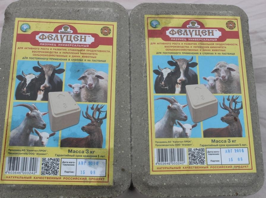 felucene for cows