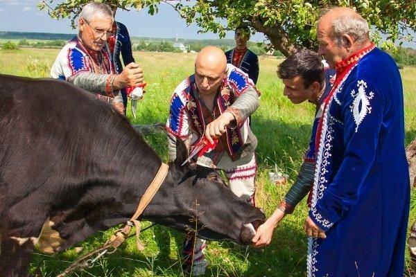 Успори крвоток
