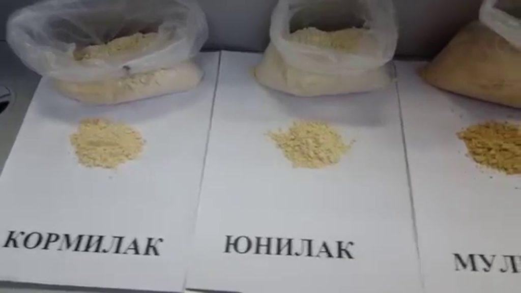 Kormilak süt