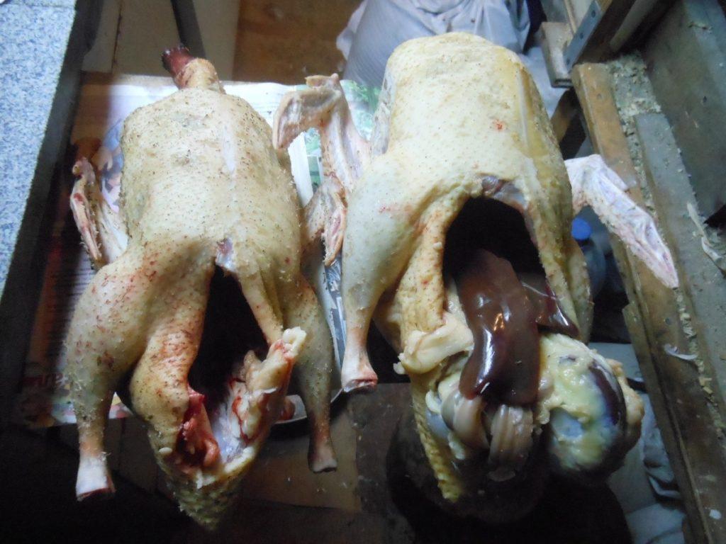 matanza de patos