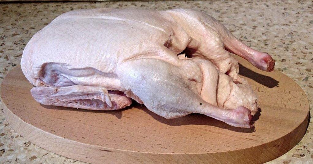 wie man Ente einlegt